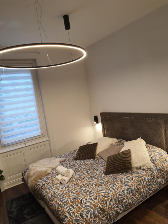 Hote Stephanois Studio, Parking& Borne Electrique Сент Етиен Екстериор снимка