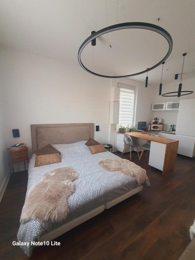 Hote Stephanois Studio, Parking& Borne Electrique Сент Етиен Екстериор снимка