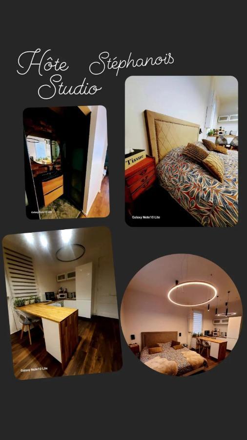 Hote Stephanois Studio, Parking& Borne Electrique Сент Етиен Екстериор снимка